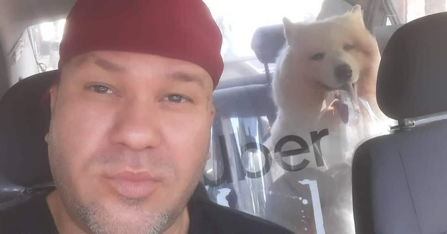 Uber Descobre Que Cadela Estaria Sendo Levada Para Eutanásia E Faz O Que Poucos Teriam Coragem 4 Ao saber que cadela estava sendo levada para eutanásia, Uber intervém e lhe salva