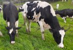 2026