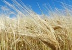 2026