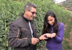 2026