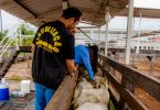 2026
