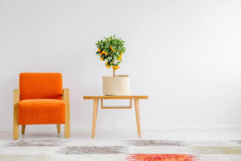 Flor-Minimalismo-Jarron-2 Minimalismo na decoração.