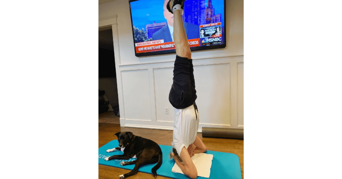 Paul-Cachorro-2 2025 word1