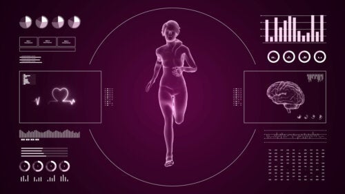 Dados-De-Atividade-Fisica-500X281-1-4 Em que consistem as habilidades físicas condicionais?