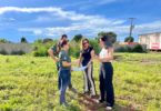 Secretária de Meio Ambiente, Mauren Lazzaretti, se reúne com autoridades em Cáceres
