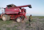 Colheitadeira de soja apreendida em área embargada em Luciara