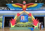 A Feira da Agricultura contará com a participação de mais de 50 expositores.