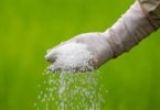 2026