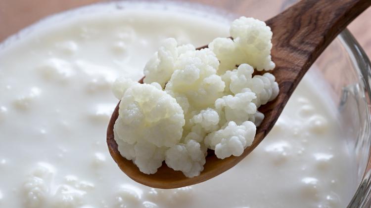 O kefir, colônia de bactérias cultivada à base de água ou leite, é um tipo de probiótico caseiro - iStock - iStock