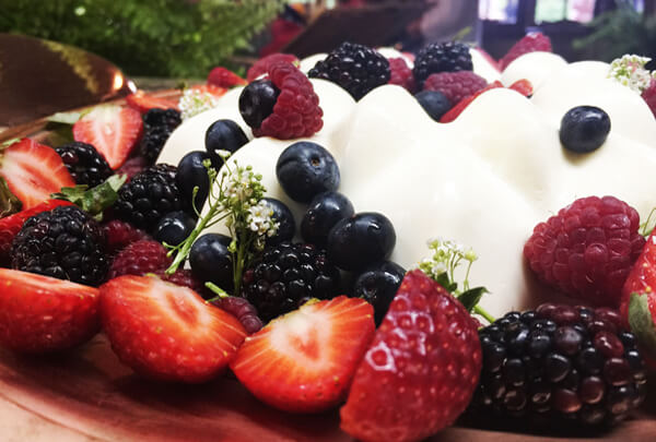 Receitas Para O Verão Receitas para o verão Panna Cotta - Receitas para o verão