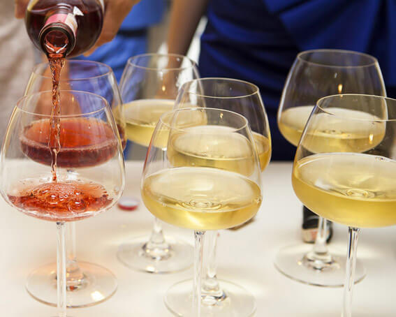 Vinhos Com Comida Vegetariana Ou Vegana Vinhos com comida vegetariana ou vegana taças vinhos - Vinhos com comida vegetariana ou vegana