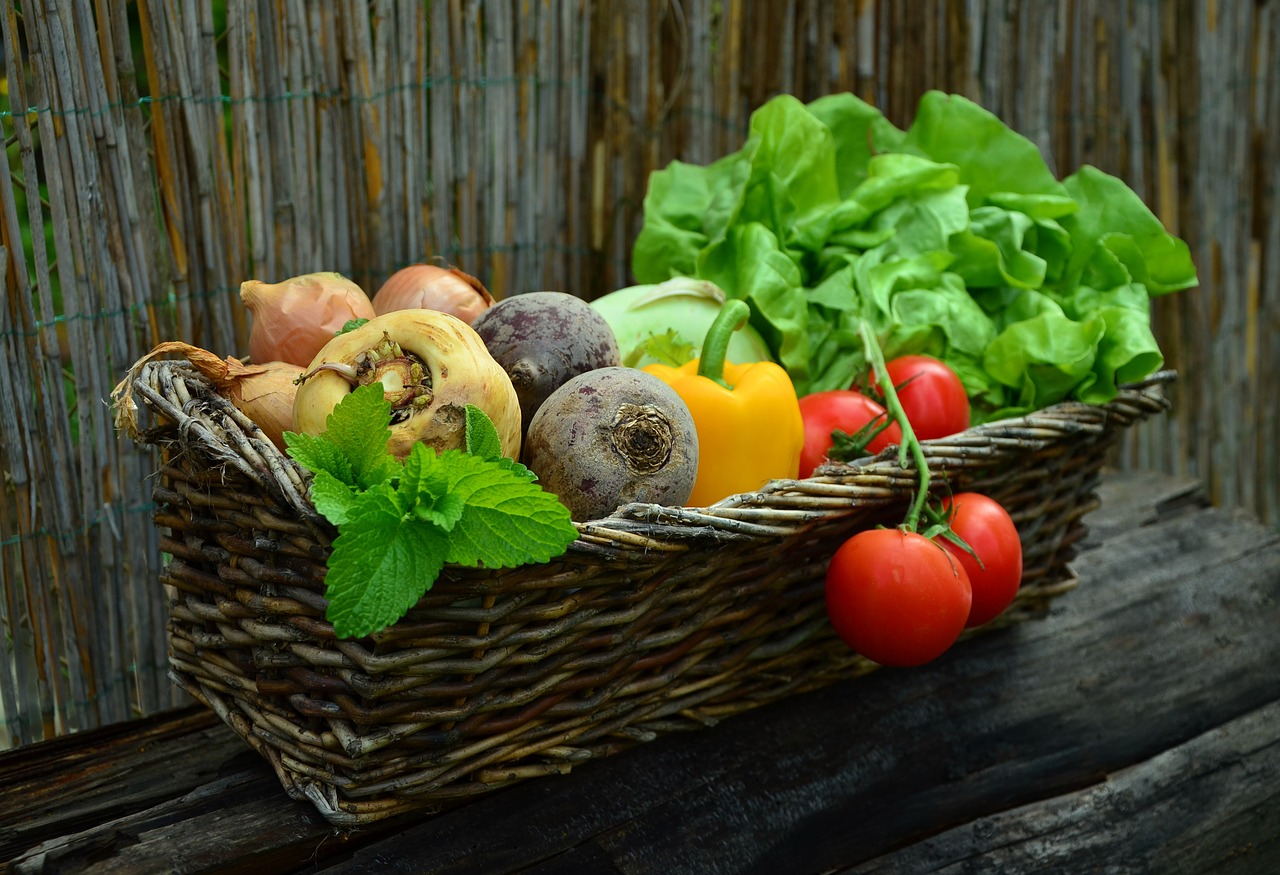 Pós-Graduação Em Nutrição Vegetariana Pós graduação em Nutrição Vegetariana - Pós-graduação em Nutrição Vegetariana