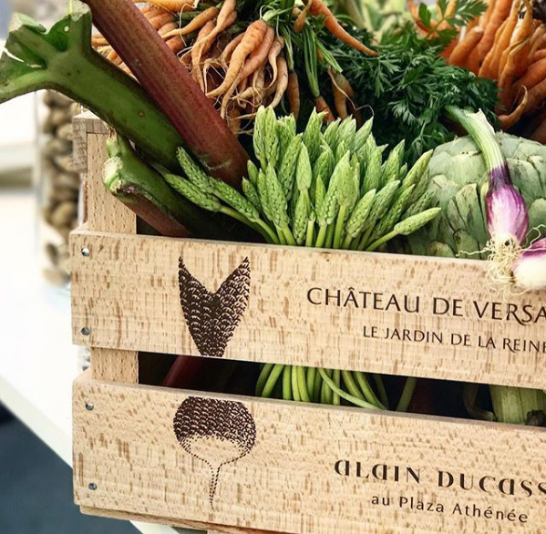 Dieta À Base De Plantas Dieta a Base de Plantas Alain Ducasse - Dieta à Base de Plantas