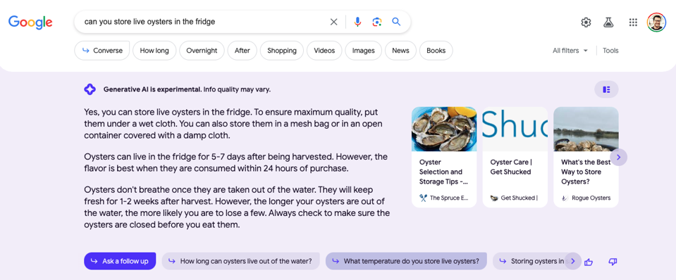 Google-1 A parte superior de uma nova busca do Google com inteligência artificial que está sendo testada.