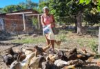 Empaer atendeu 544 famílias de agricultores familiares em 26 municípios do Estado.