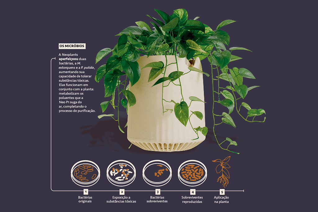 Si_452_Abre3_Layout_Site Foto da Neo P1 e infográfico mostrando as fases de seu desenvolvimento.