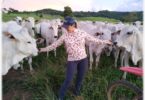 Lotação saltou de 3,8 Unidades Animais por hectare (UA/ha) para 8,6 UA/ha, no município de Jaciara.