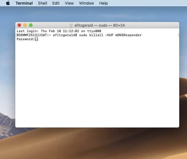 Dns-Flush-1 dns flush no terminado do mac