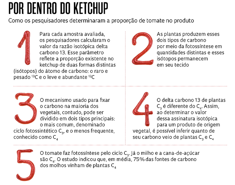 Infográfico Ketchup - Revista Pesquisa FAPESP - Revista Pesquisa FAPESP