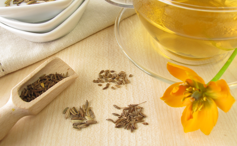 Chas-Para-Prisao-De-Ventre-01-1 2025 word1