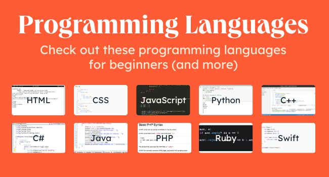 Programming20For20Beginners_42023-1-1 Programming languages graphic