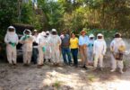 Curso teórico e prático sobre a criação de abelhas africanizadas - Apis mellifera.