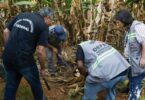 2026