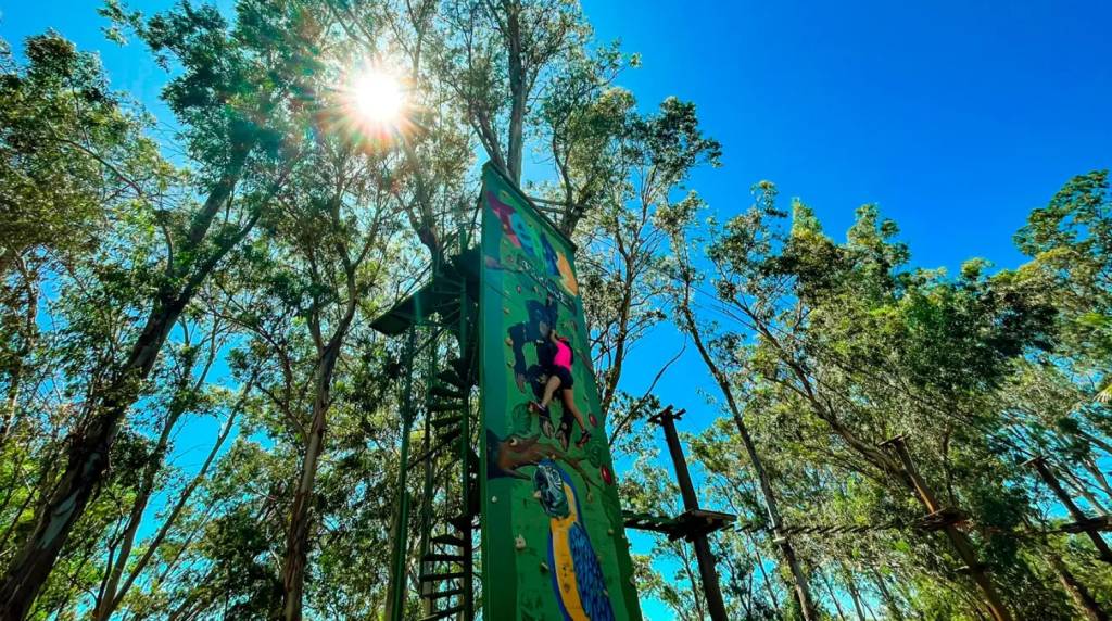 escalada-terra-parque