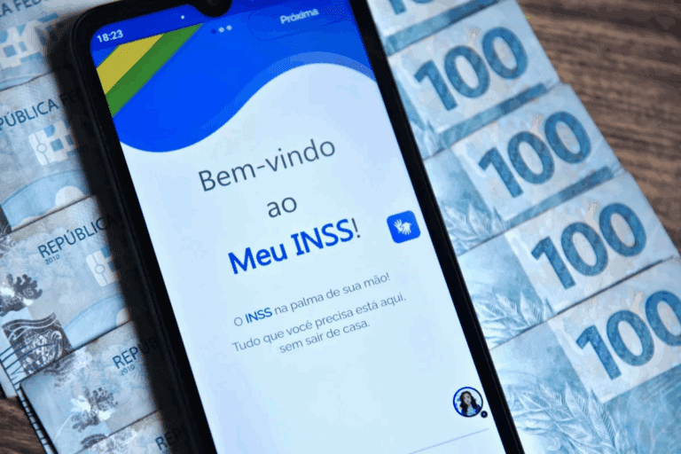 MEU INSS 1