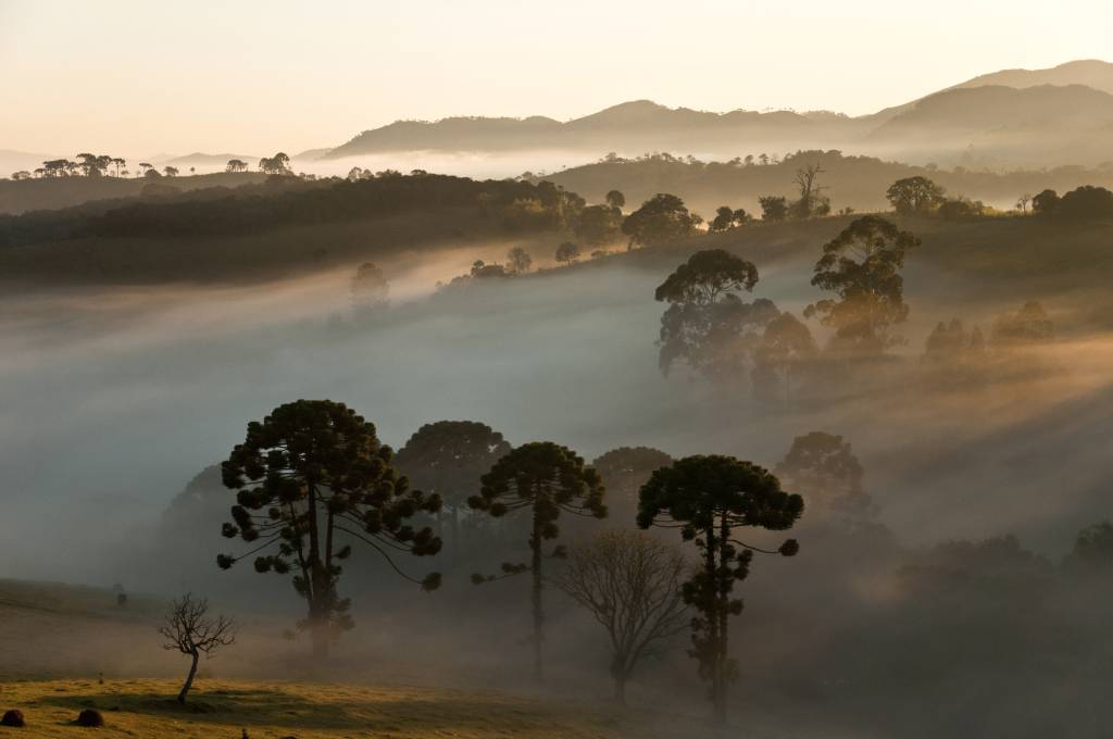 serra-da-bocaina