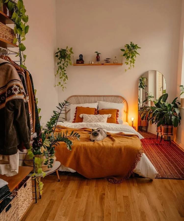 Uma imagem de um quarto com uma cama com cabeceira de vime, coberta por um cobertor laranja e travesseiros brancos e laranjas. Há plantas em vasos e penduradas, um espelho de corpo inteiro e um gato cinza deitado na cama.