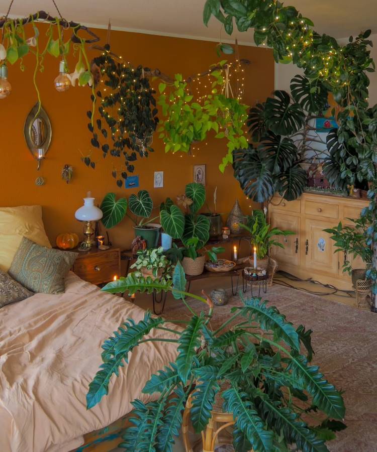Um quarto com parede laranja vibrante, repleto de plantas penduradas e em vasos, algumas com luzes cintilantes. Uma cama aconchegante, um aparador de madeira e iluminação ambiente criam uma atmosfera exuberante e boêmia.