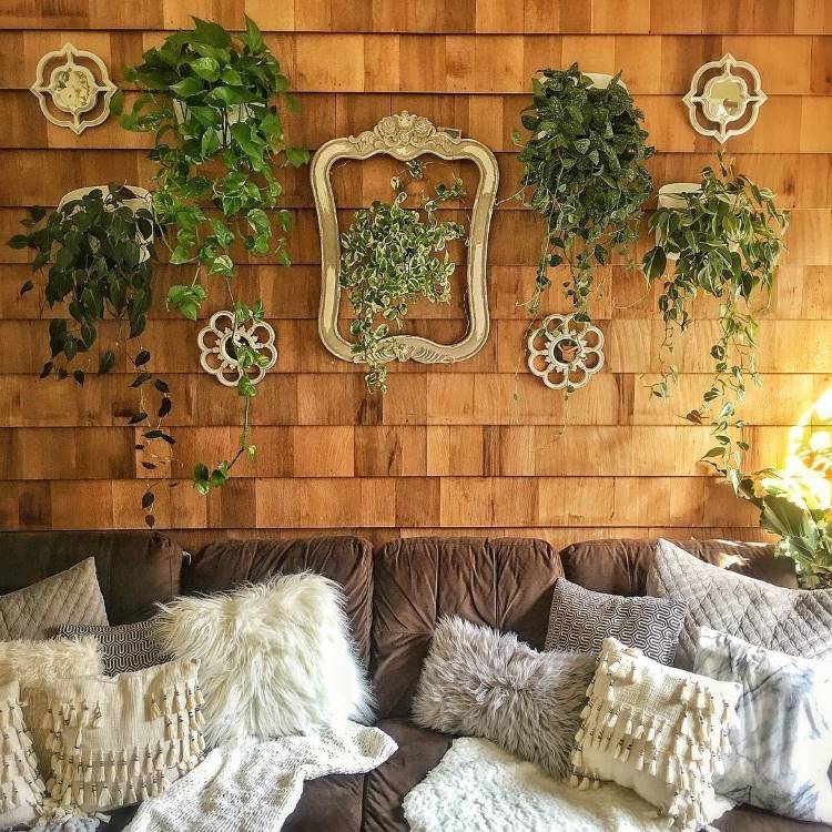 Uma parede de madeira decorada com plantas penduradas e quadros ornamentados. Abaixo, um sofá marrom repleto de almofadas macias em tons neutros, criando um ambiente rústico e aconchegante.
