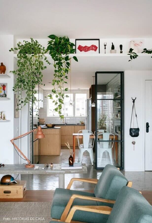 Plantas pendentes na prateleira.