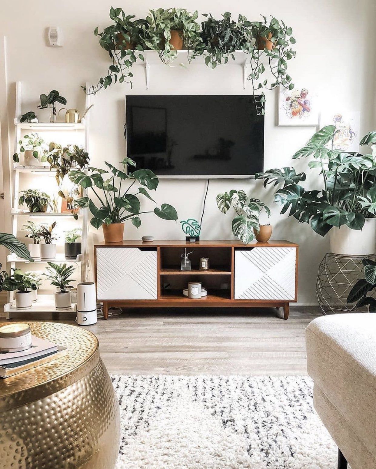 Sala de estar decorada com muitas plantas.