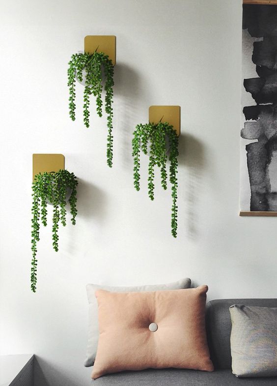 Três plantas pendentes em madeira na sala.