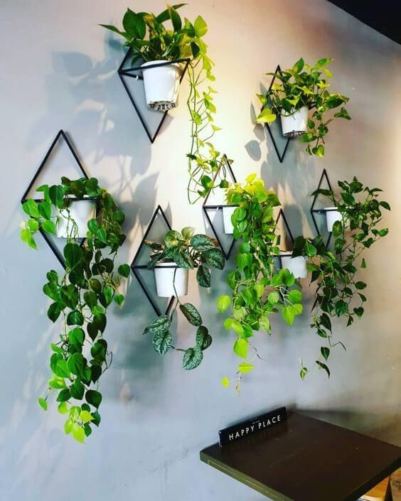 Sete vasos de plantas pendentes na sala de jantar.