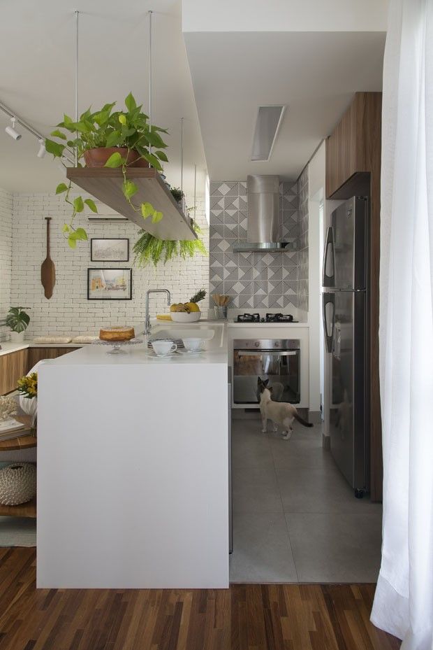 Cozinha pequena com plantas pendentes.