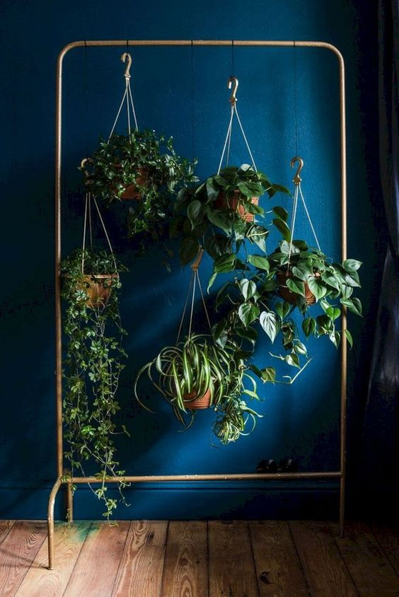 Hall de entrada com jardim vertical.