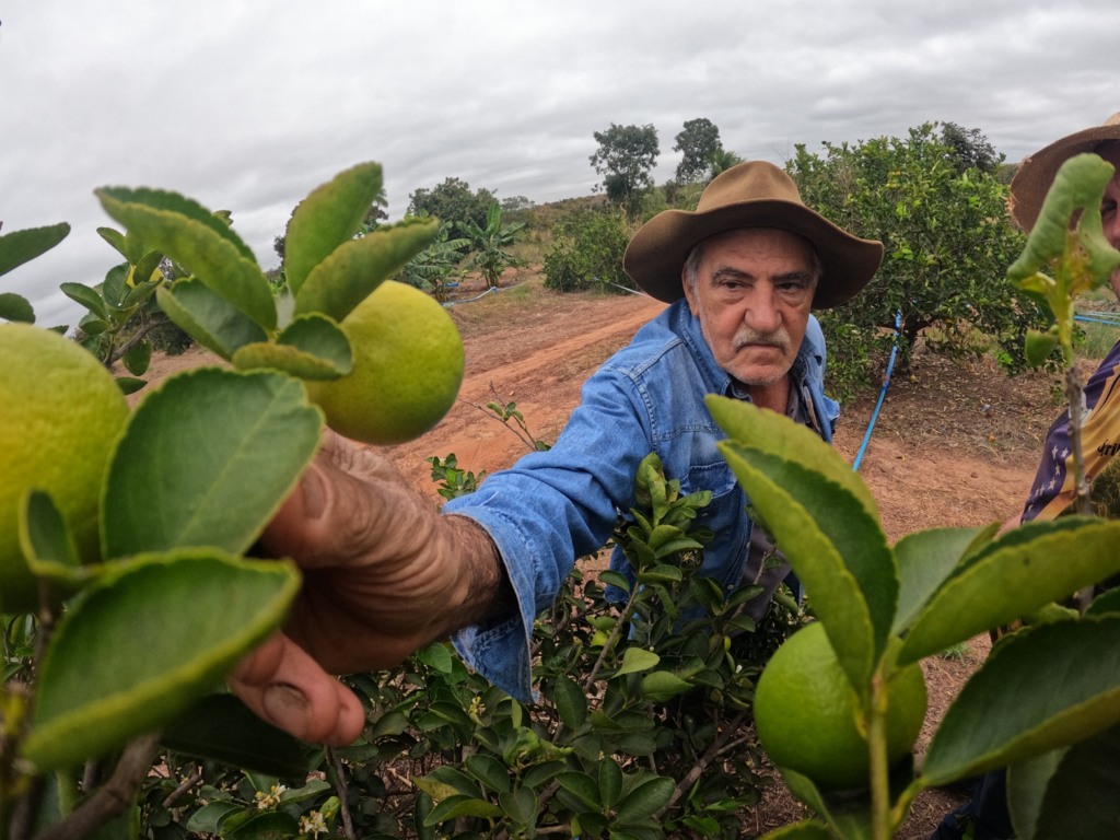 Senar Transforma Ateg Fruticultura Limão Banana Várzea Grande foto Israel Baumann Dia de Ajudar Mato Grosso
