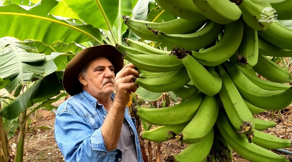 Senar Transforma Ateg Fruticultura Limão Banana Várzea Grande foto Israel Baumann Dia de Ajudar Mato Grosso