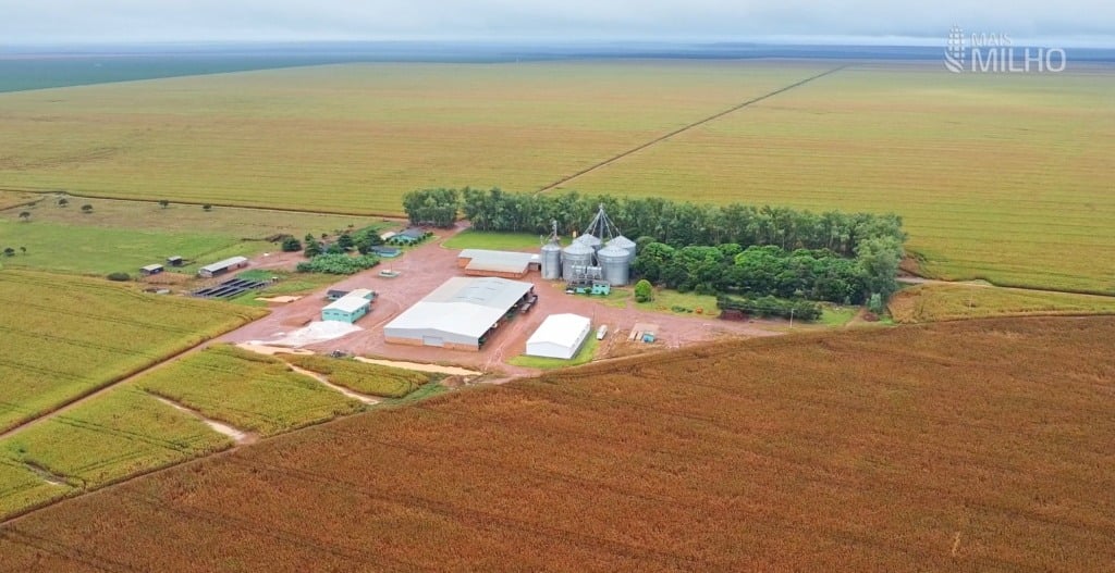 Especial-Mais-Milho-Fazenda-Sao-Francisco-Campos-De-Julio-Foto-Israel-Baumann-1024X527-1 Especial Mais Milho Fazenda São Francisco Campos de Júlio Foto Israel Baumann