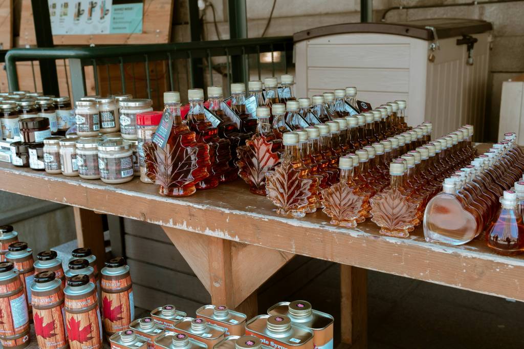 Xarope-De-Bordo-Maple-Syrup xarope-de-bordo-maple-syrup