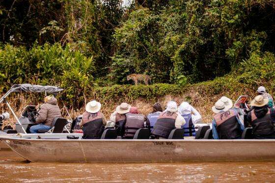 pantanal -7251.jpg