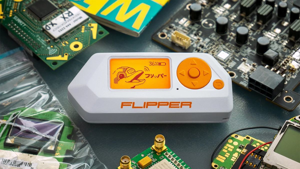 Flipper-Zero Flipper Zero - Imagem: Reprodução