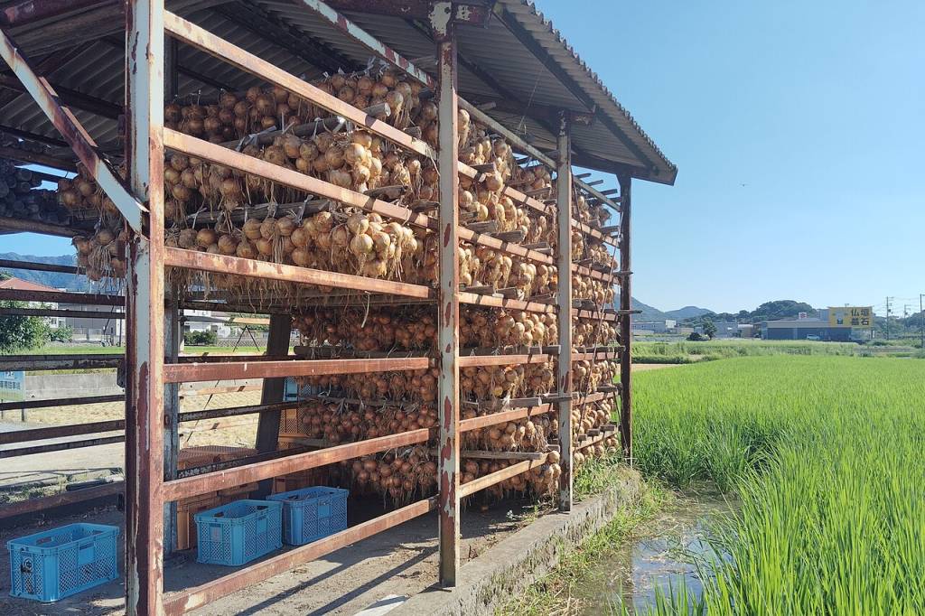 Ilha-Da-Cebola-Japao ilha-da-cebola-japao