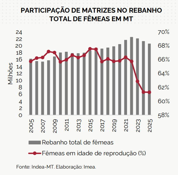 Captura-De-Tela-2025-08-27-151541 2025 word3