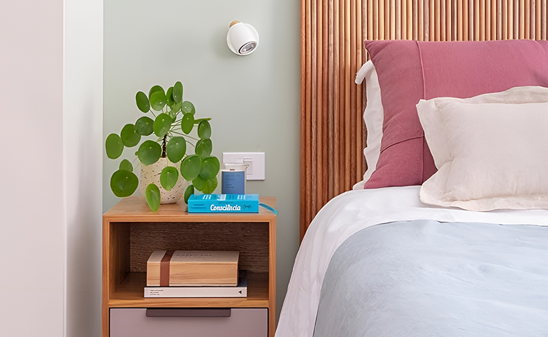 vaso com planta-chinesa-do-dinheiro ao lado da cama com luz suave