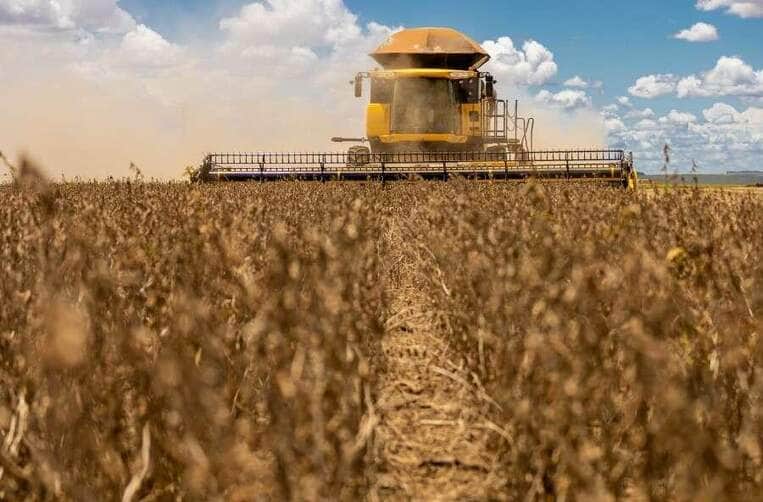 Preço Da Soja No Brasil Hoje: Análise Completa E Tendências De Mercado 84 Cotações de soja sobem em grande parte do Brasil