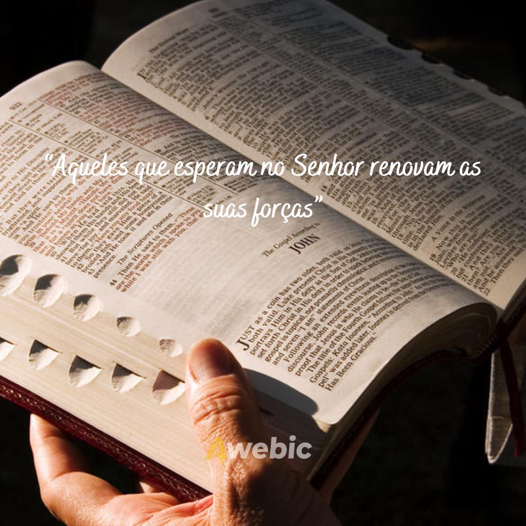 Frases-Awebic-9 2025 word2